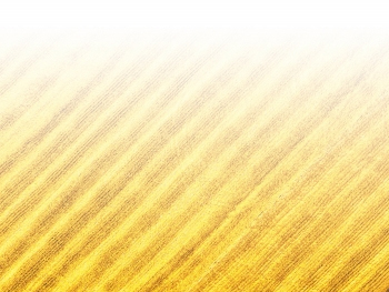 智能農機、“訂單”服務、“云端”種菜——來自江西的春耕“新事”
